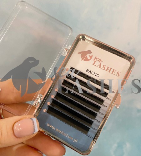 pobrany plik (5).jpg